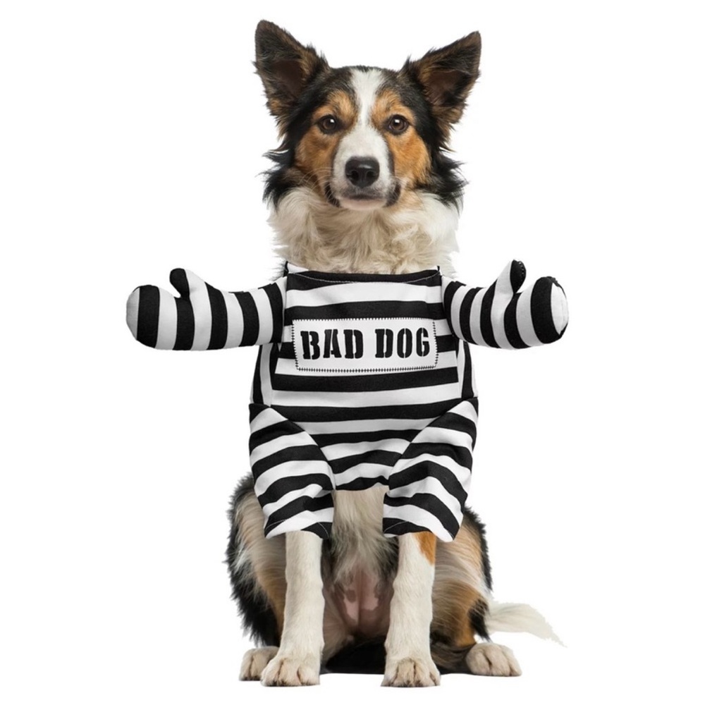 Woof Bad Dog Halloween Costume, size large NWT